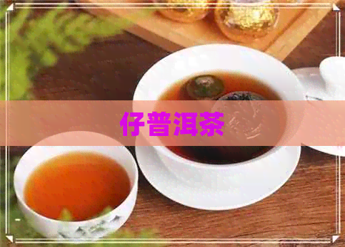 仔普洱茶