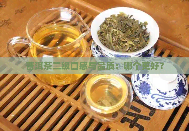 普洱茶二级口感与品质：哪个更好？