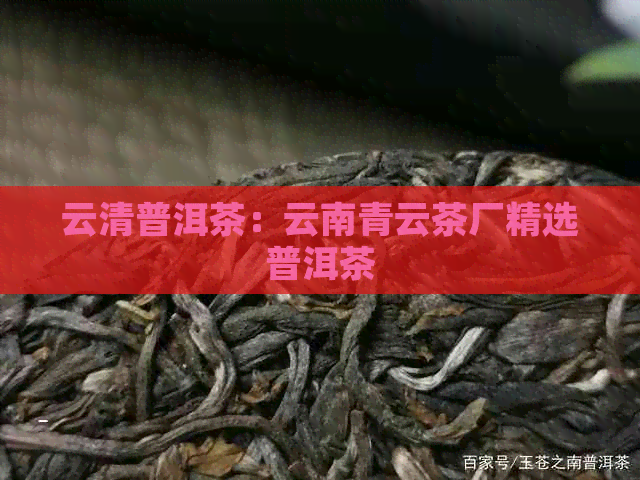 云清普洱茶：云南青云茶厂精选普洱茶