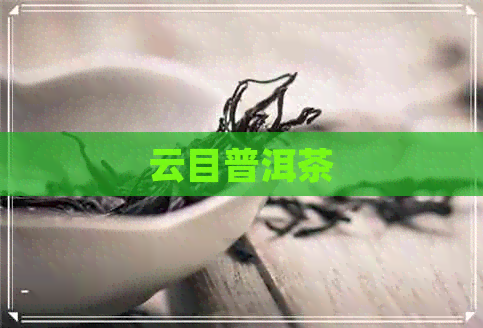 云目普洱茶