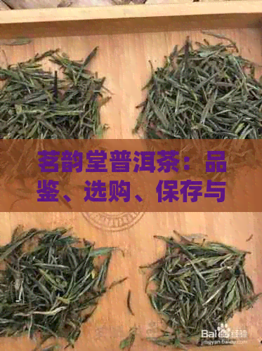 茗韵堂普洱茶：品鉴、选购、保存与冲泡指南，让您全面了解普洱茶的魅力