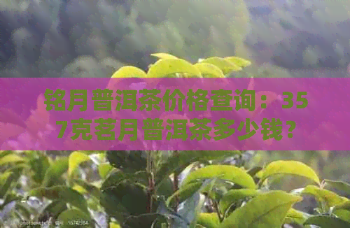 铭月普洱茶价格查询：357克茗月普洱茶多少钱？