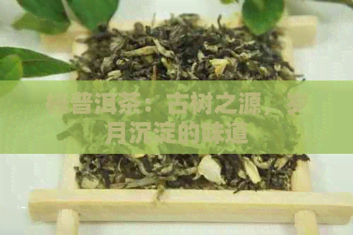 梓普洱茶：古树之源，岁月沉淀的味道