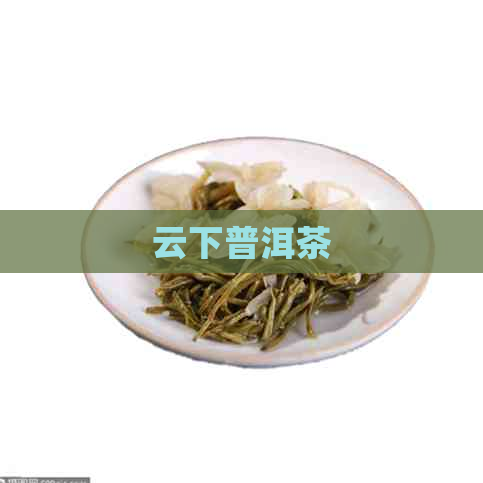 云下普洱茶