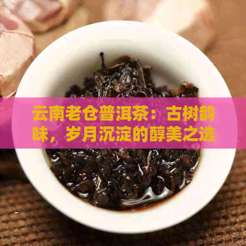 云南老仓普洱茶：古树韵味，岁月沉淀的醇美之选