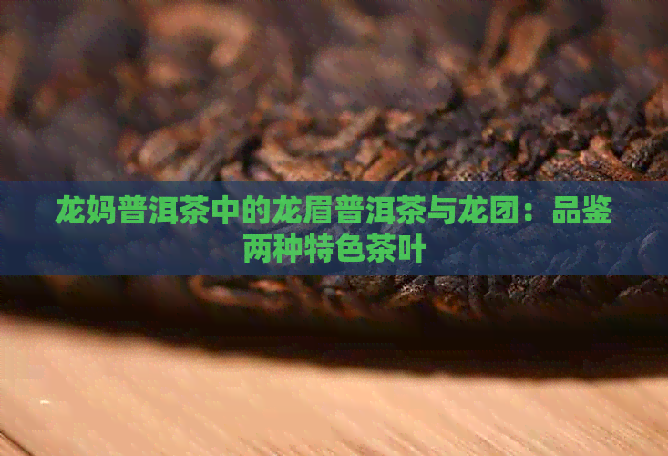 龙妈普洱茶中的龙眉普洱茶与龙团：品鉴两种特色茶叶