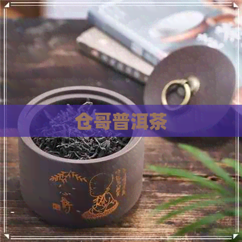 仓哥普洱茶