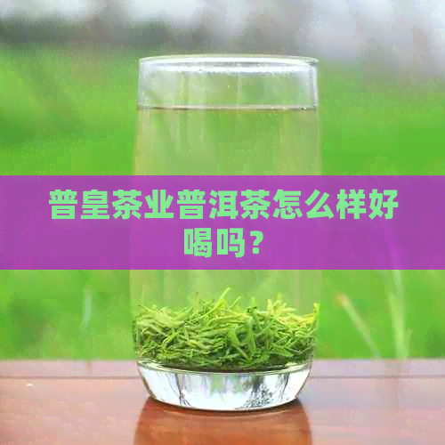 普皇茶业普洱茶怎么样好喝吗？