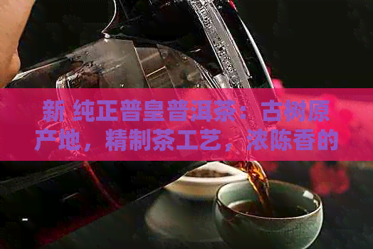 新 纯正普皇普洱茶：古树原产地，精制茶工艺，浓陈香的独特体验