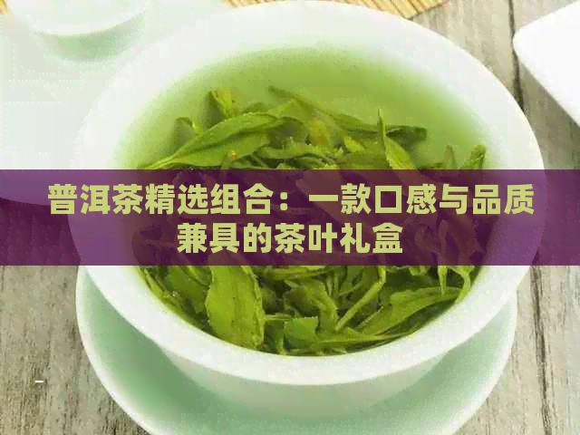 普洱茶精选组合：一款口感与品质兼具的茶叶礼盒