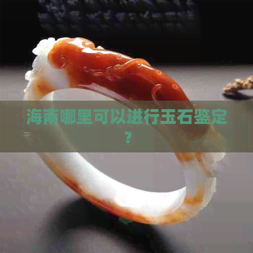 海南哪里可以进行玉石鉴定？