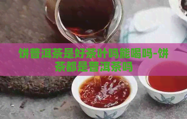 饼普洱茶是好茶叶吗能喝吗-饼茶都是普洱茶吗