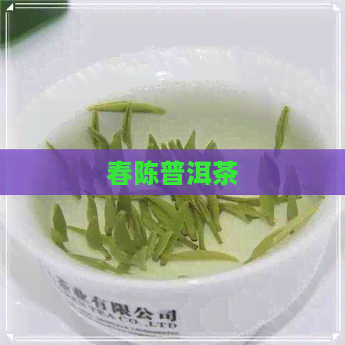 春陈普洱茶