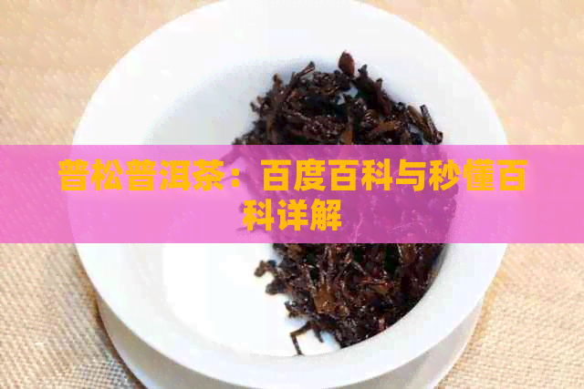 普松普洱茶：百度百科与秒懂百科详解