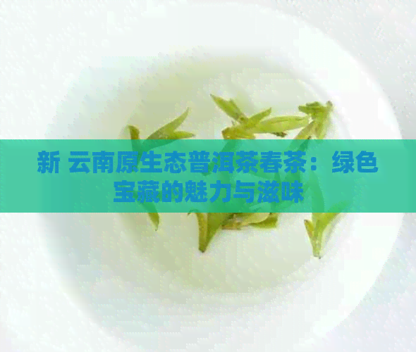 新 云南原生态普洱茶春茶：绿色宝藏的魅力与滋味