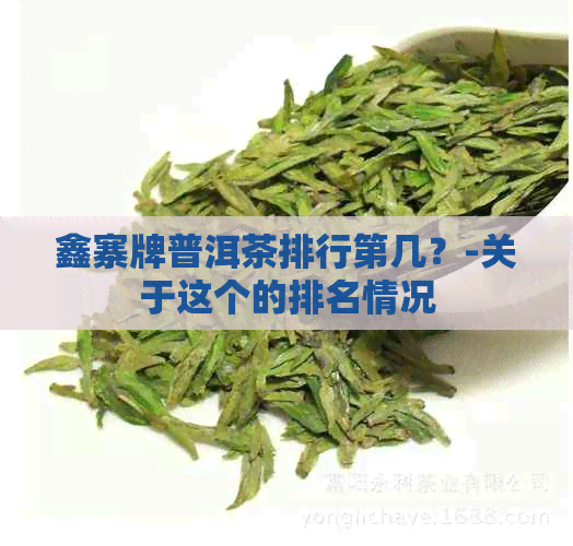 鑫寨牌普洱茶排行第几？-关于这个的排名情况