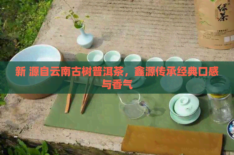 新 源自云南古树普洱茶，鑫源传承经典口感与香气