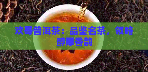 欢哥普洱茶：品鉴名茶，领略醇厚香韵