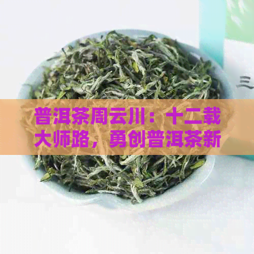 普洱茶周云川：十二载大师路，勇创普洱茶新境界