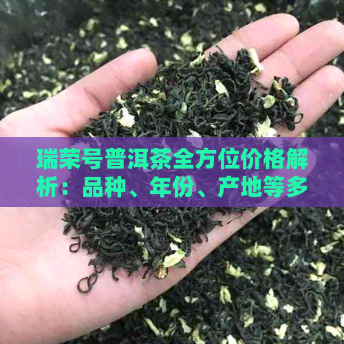 瑞荣号普洱茶全方位价格解析：品种、年份、产地等多方面详细解读