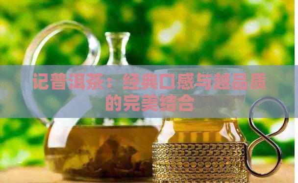 记普洱茶：经典口感与越品质的完美结合