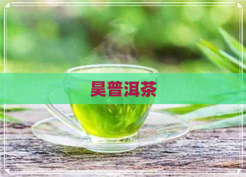 昊普洱茶