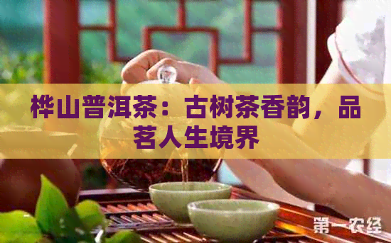 桦山普洱茶：古树茶香韵，品茗人生境界