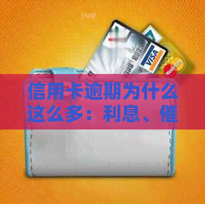 信用卡逾期为什么这么多：利息、、电话，背后原因令人担忧