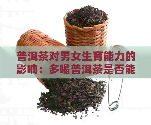 普洱茶对男女生育能力的影响：多喝普洱茶是否能增加生女孩的概率？