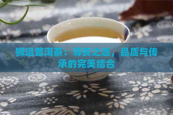 狮运普洱茶：尊贵之选，品质与传承的完美结合