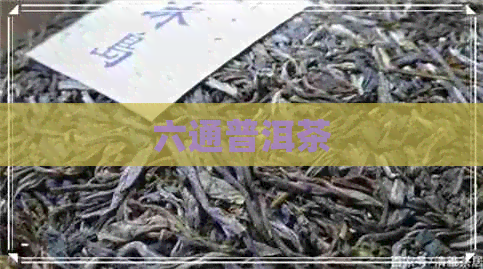 六通普洱茶