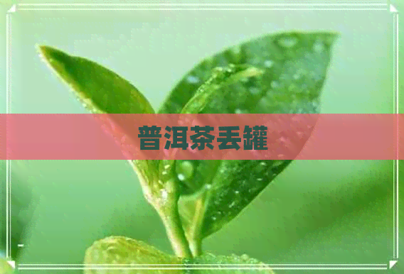 普洱茶丢罐