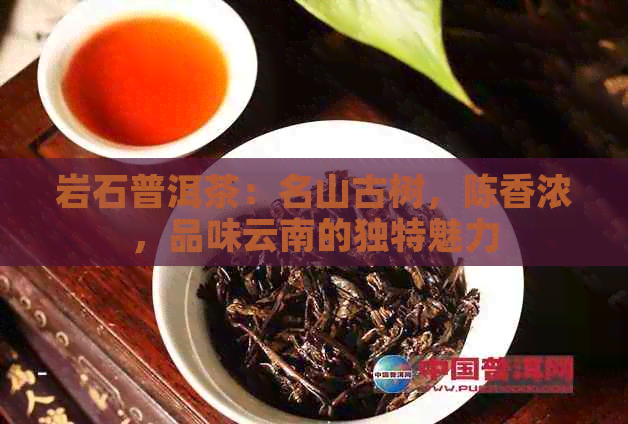 岩石普洱茶：名山古树，陈香浓，品味云南的独特魅力