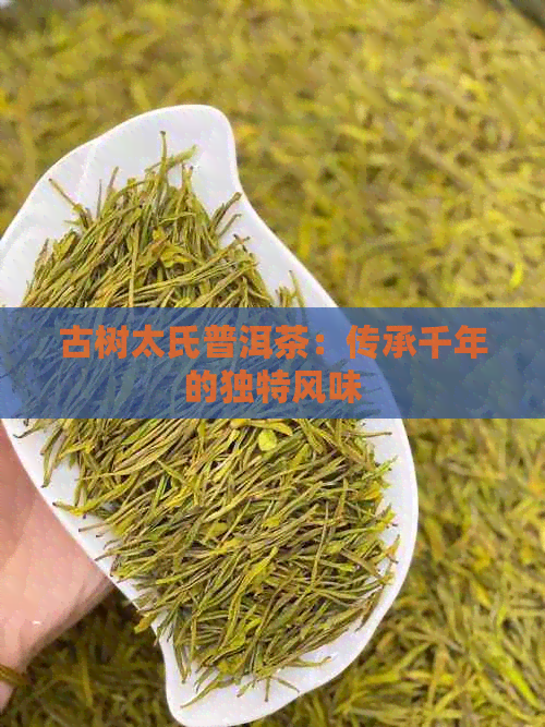 古树太氏普洱茶：传承千年的独特风味