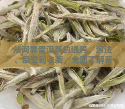 从问界普洱茶的选购、泡法、品鉴到收藏，全面了解普洱茶的各个方面