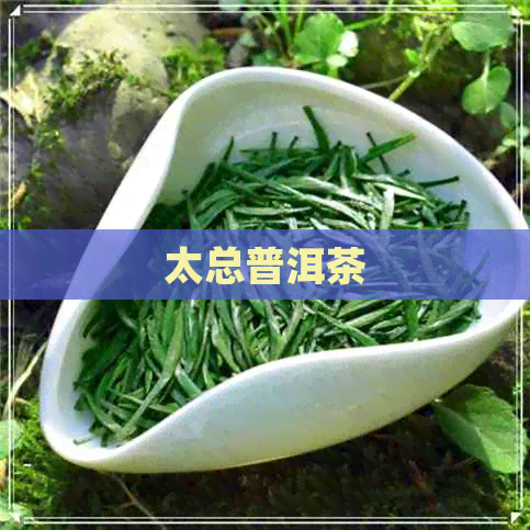 太总普洱茶