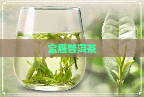 宝鹰普洱茶