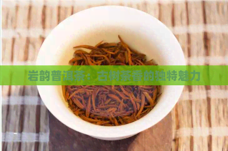 岩韵普洱茶：古树茶香的独特魅力