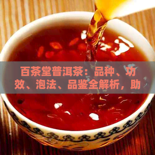 百茶堂普洱茶：品种、功效、泡法、品鉴全解析，助您成为普洱茶专家