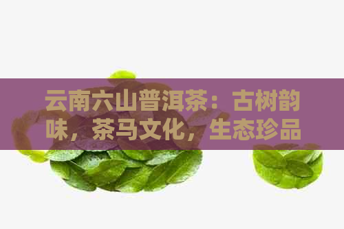 云南六山普洱茶：古树韵味，茶马文化，生态珍品