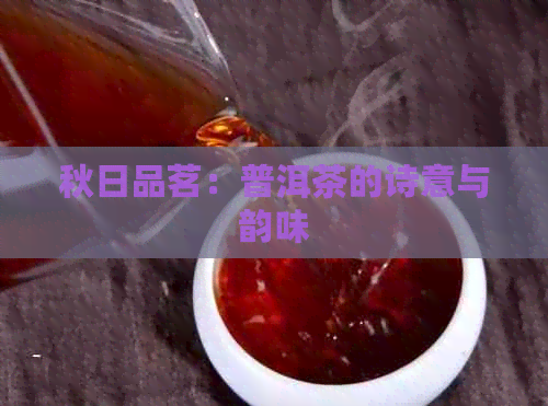 秋日品茗：普洱茶的诗意与韵味