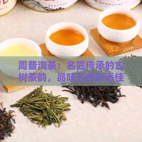 周普洱茶：名匠传承的古树茶韵，品味云南醇香佳话