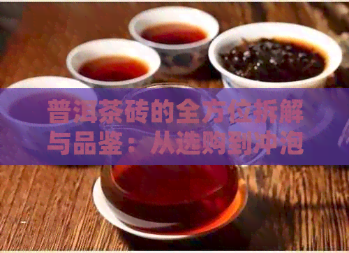 普洱茶砖的全方位拆解与品鉴：从选购到冲泡详解