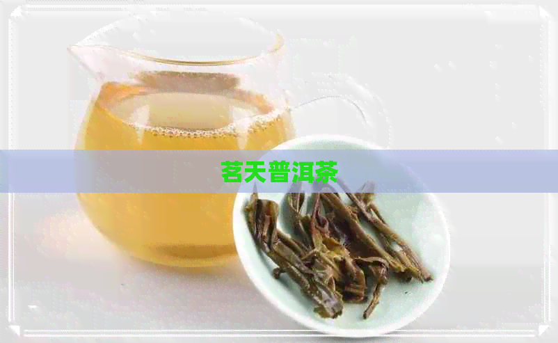 茗天普洱茶