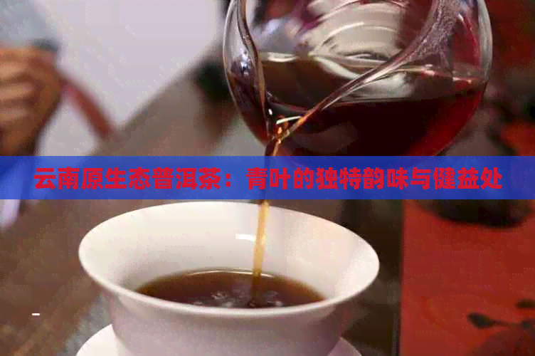 云南原生态普洱茶：青叶的独特韵味与健益处