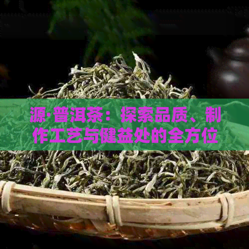 源·普洱茶：探索品质、制作工艺与健益处的全方位解析