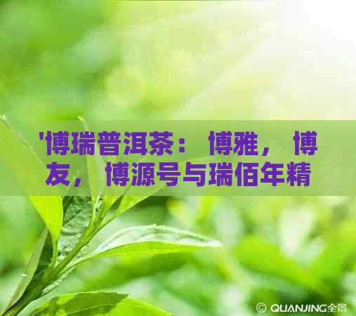 '博瑞普洱茶： 博雅， 博友， 博源号与瑞佰年精选普洱茶'