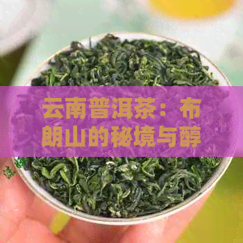 云南普洱茶：布朗山的秘境与醇香