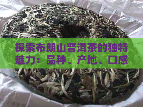 探索布朗山普洱茶的独特魅力：品种、产地、口感和品鉴技巧全面解析