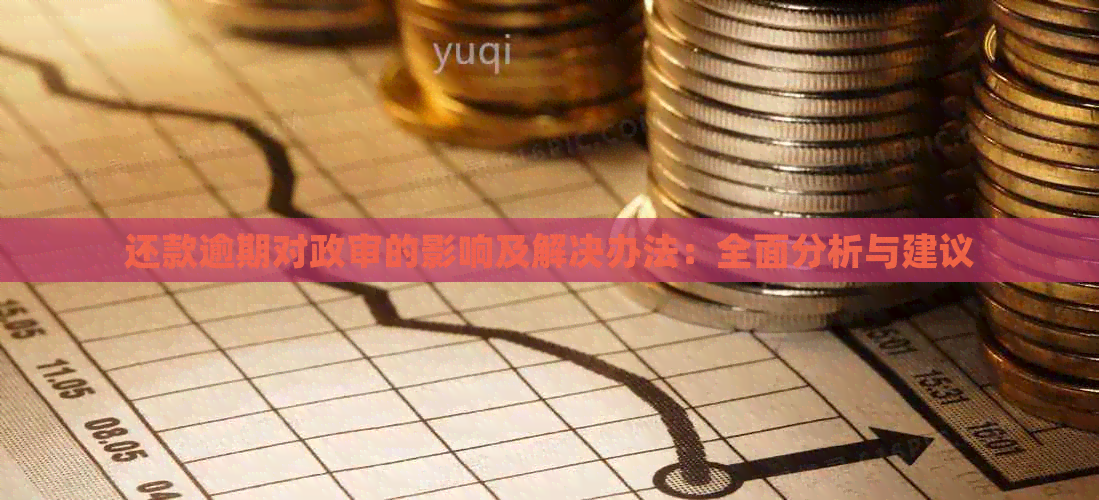 还款逾期对政审的影响及解决办法：全面分析与建议